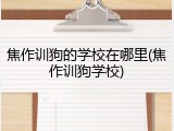 焦作训狗的学校在哪里(焦作训狗学校)