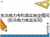 东北电力专科真实就业情况(东北电力就业实况)
