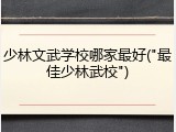 少林文武学校哪家最好("最佳少林武校")