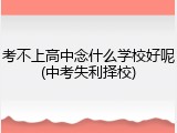 考不上高中念什么学校好呢(中考失利择校)
