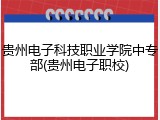 贵州电子科技职业学院中专部(贵州电子职校)