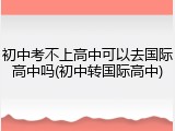 初中考不上高中可以去国际高中吗(初中转国际高中)