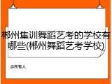 郴州集训舞蹈艺考的学校有哪些(郴州舞蹈艺考学校)