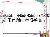 汕尾陆丰的单招集训学校哪里有(陆丰单招学校)