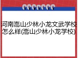 河南嵩山少林小龙文武学校怎么样(嵩山少林小龙学校)