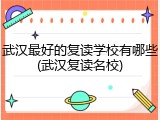武汉最好的复读学校有哪些(武汉复读名校)