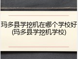 玛多县学挖机在哪个学校好(玛多县学挖机学校)