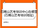 石嘴山艺考培训中心在哪里(石嘴山艺考培训地址)