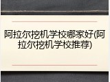 阿拉尔挖机学校哪家好(阿拉尔挖机学校推荐)