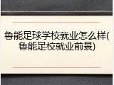 鲁能足球学校就业怎么样(鲁能足校就业前景)