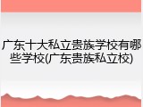 广东十大私立贵族学校有哪些学校(广东贵族私立校)