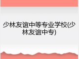 少林友谊中等专业学校(少林友谊中专)