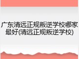 广东清远正规叛逆学校哪家最好(清远正规叛逆学校)