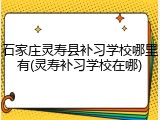 石家庄灵寿县补习学校哪里有(灵寿补习学校在哪)