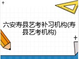 六安寿县艺考补习机构(寿县艺考机构)