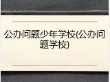 公办问题少年学校(公办问题学校)