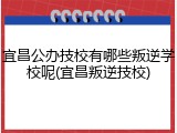 宜昌公办技校有哪些叛逆学校呢(宜昌叛逆技校)