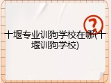 十堰专业训狗学校在哪(十堰训狗学校)