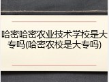 哈密哈密农业技术学校是大专吗(哈密农校是大专吗)