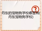 丹东的宠物狗学校哪里有(丹东宠物狗学校)