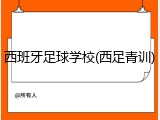 西班牙足球学校(西足青训)
