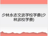少林永志文武学校学费(少林武校学费)