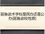延鲁武术学校是民办还是公办(延鲁武校性质)