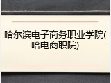 哈尔滨电子商务职业学院(哈电商职院)