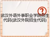 武汉外语外事职业学院招生代码(武汉外院招生代码)
