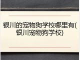 银川的宠物狗学校哪里有(银川宠物狗学校)
