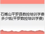 石嘴山平罗县数控培训学费多少钱(平罗数控培训学费)