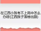 在江西小孩考不上高中怎么办呀(江西孩子落榜出路)