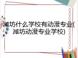 潍坊什么学校有动漫专业(潍坊动漫专业学校)