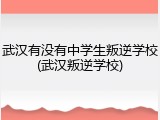 武汉有没有中学生叛逆学校(武汉叛逆学校)