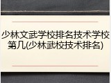 少林文武学校排名技术学校第几(少林武校技术排名)