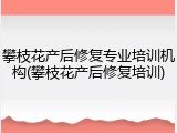 攀枝花产后修复专业培训机构(攀枝花产后修复培训)