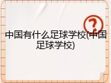 中国有什么足球学校(中国足球学校)