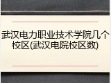 武汉电力职业技术学院几个校区(武汉电院校区数)