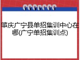 肇庆广宁县单招集训中心在哪(广宁单招集训点)