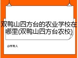 双鸭山四方台的农业学校在哪里(双鸭山四方台农校)