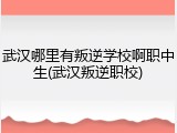 武汉哪里有叛逆学校啊职中生(武汉叛逆职校)