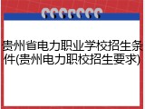 贵州省电力职业学校招生条件(贵州电力职校招生要求)