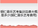 铜仁音乐艺考集训花费大概是多少(铜仁音乐艺考费用)