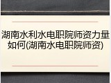 湖南水利水电职院师资力量如何(湖南水电职院师资)