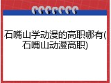 石嘴山学动漫的高职哪有(石嘴山动漫高职)