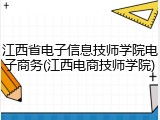 江西省电子信息技师学院电子商务(江西电商技师学院)