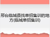邢台临城县找单招集训的地方(临城单招集训)