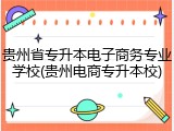 贵州省专升本电子商务专业学校(贵州电商专升本校)