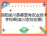 洛阳栾川县哪里有农业技术学校啊(栾川农校在哪)