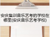 安庆集训音乐艺考的学校在哪里(安庆音乐艺考学校)